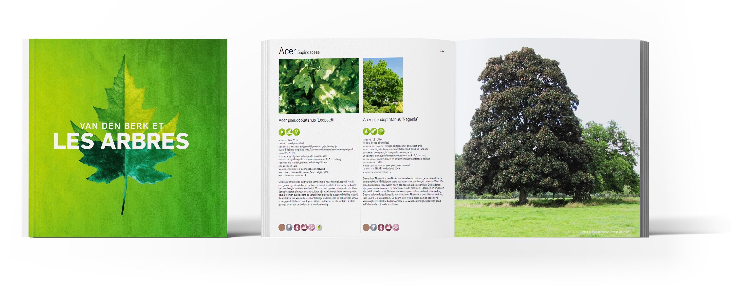 Livre sur les arbres
